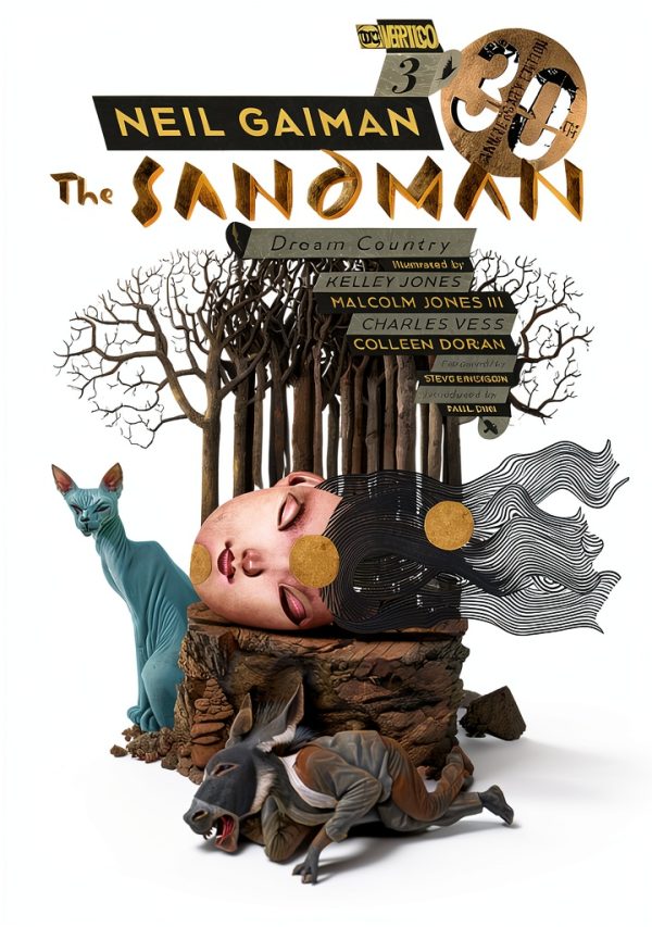 The Sandman Graphic Novel by Vertigo 158 Page Kindle Edition-0